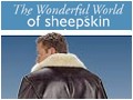 The Wonderful World of Sheepskin, Detroit - logo